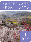 hanamiyama-from-tokyo