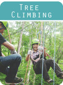 tree-climbing