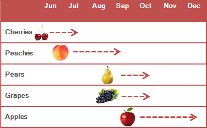 fruit graph
