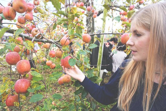 me anzai-kajuen-fukushima-5