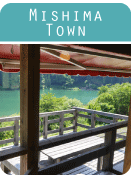 mishima
