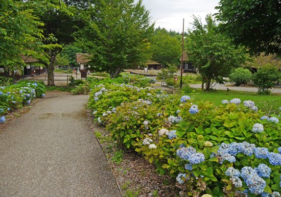 Oku Aizu Museum Tajima (22)